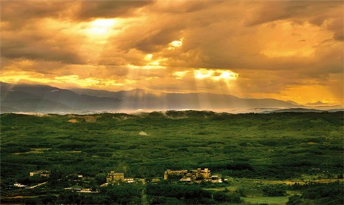 森山抹茶本铺