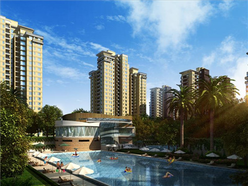 猫咪灰料理