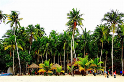 光头佬品牌港式点心