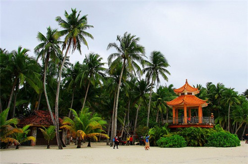 荼啡茶总代理的条件是什么，荼啡茶值得加盟吗