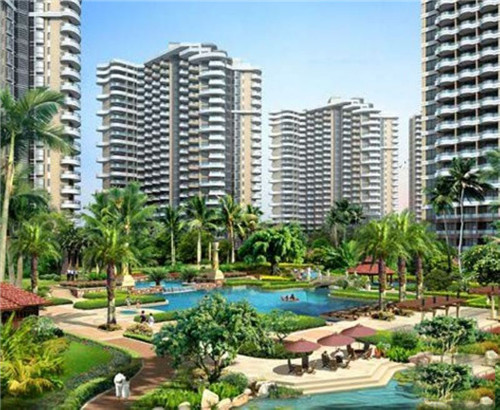 茄瓜炒西红柿怎么炒（茄瓜炒西红柿怎么炒好吃）