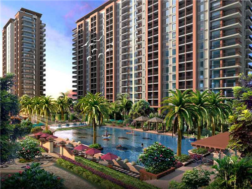 食堂豆腐炒洋葱怎么炒（豆腐烧洋葱窍门）