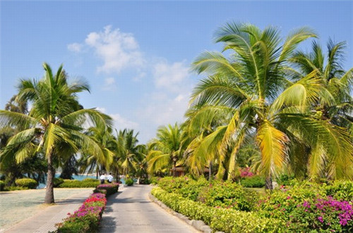 怎么添加快手音乐（快手怎样添加音乐台的作品）