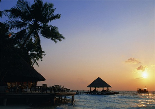 电视剧家常菜大结局完整视频（家常菜电视剧后续）