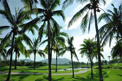 岩腊乡新房子航拍（岩腊乡卫生院电话是多少）