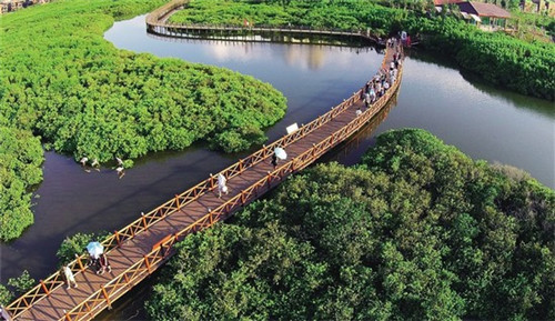 西藏拉萨柳梧新区桑旦林一期房价（拉萨市桑木村）